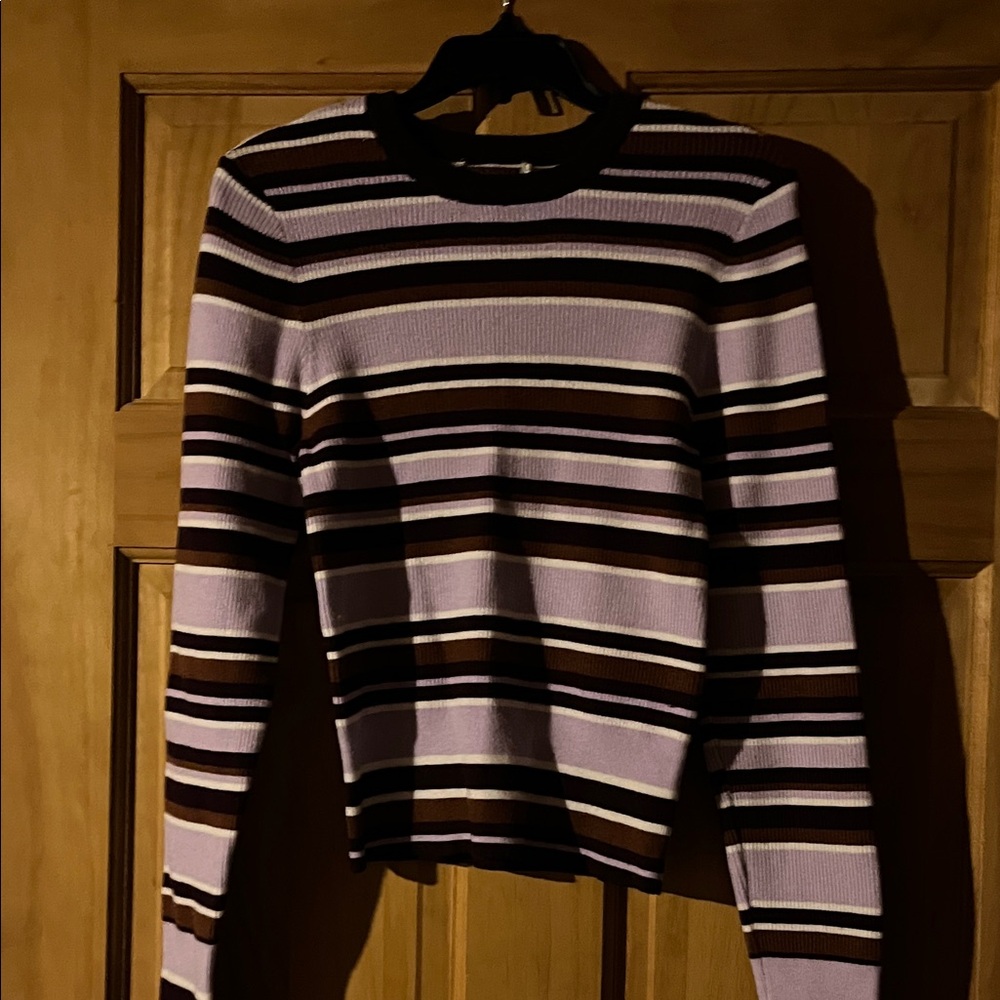 Striped Purple and Brown Sweater